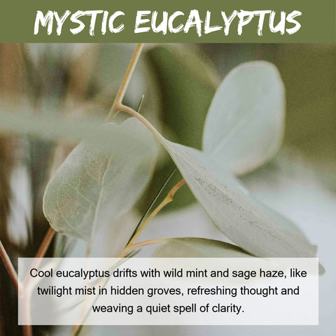 Mystic Eucalyptus Scented Aroma Beads